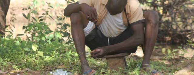 Africa is beginning to win its battle against the terrible parasitic river blindness infection, thanks in no small part to the painstaking work of villagers who catch the flies responsible...
